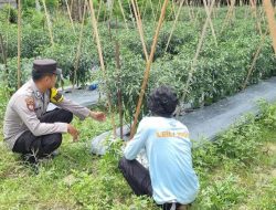 Dukung Ketahanan Pangan, Bhabinkamtibmas Polsek Sematu Jaya Silaturahmi ke masyarakat terkait Program Asta Cita Presiden RI