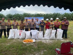 Dukung Ketahanan Pangan, Polres Seruyan Panen Raya Jagung di Lahan Seluar 1,25 Hektar