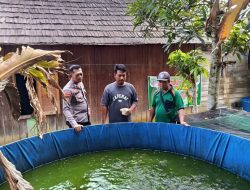 Dukung Ketahan pangan, Bhabinkamtibmas Cek Budidaya Kolam Ikan Lele