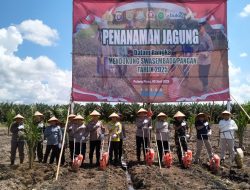 Dukung Ketahanan Pangan, Kapolda Kalteng Bersama Wagub Panen Raya Jagung Serentak Kuartal II di Pulang Pisau