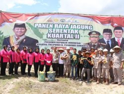 Polri Kawal Ketahanan Pangan: Panen Raya Jagung di Katingan Sukses