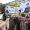 Hari Raya Idul Adha 1446 H Polres Katingan Laksanakan Pemotongan 10 Ekor Sapi 1 Ekor Kambing Qurban
