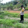 *Polsek Bukit Sawit Dukung Program Pekarangan Bergizi di Desa Bukit Sawit II*