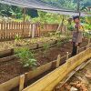 Dukung Ketahanan Pangan, Bhabinkamtibmas Polsek Lamandau Silaturahmi ke masyarakat terkait Program Asta Cita Presiden RI