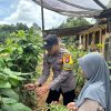 Dukung Ketahanan Pangan, Bhabinkamtibmas Polsek Lamandau Silaturahmi ke masyarakat terkait Program Asta Cita Presiden RI
