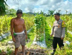 Polsek Bukit Batu Dukung Ketahanan Pangan Warganya Lewat Sambang dan Bantu Kegiatan Petani