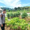 Dukung Ketahanan Pangan, Bhabinkamtibmas Polsek Delang Silaturahmi ke masyarakat terkait Program Asta Cita Presiden RI