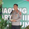 Dukung Ketahanan Pangan Nasional, Kapolda Kalteng Tanam Jagung Kuartal III di Pulang Pisau