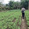 Dukung Ketahanan Pangan, Bhabinkamtibmas Polsek Lamandau Silaturahmi ke masyarakat terkait Program Asta Cita Presiden RI