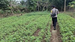Dukung Ketahanan Pangan, Bhabinkamtibmas Polsek Lamandau Silaturahmi ke masyarakat terkait Program Asta Cita Presiden RI