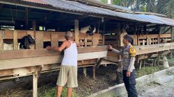 Dukung Ketahanan Pangan, Bhabinkamtibmas Sambangi Peternak Kambing