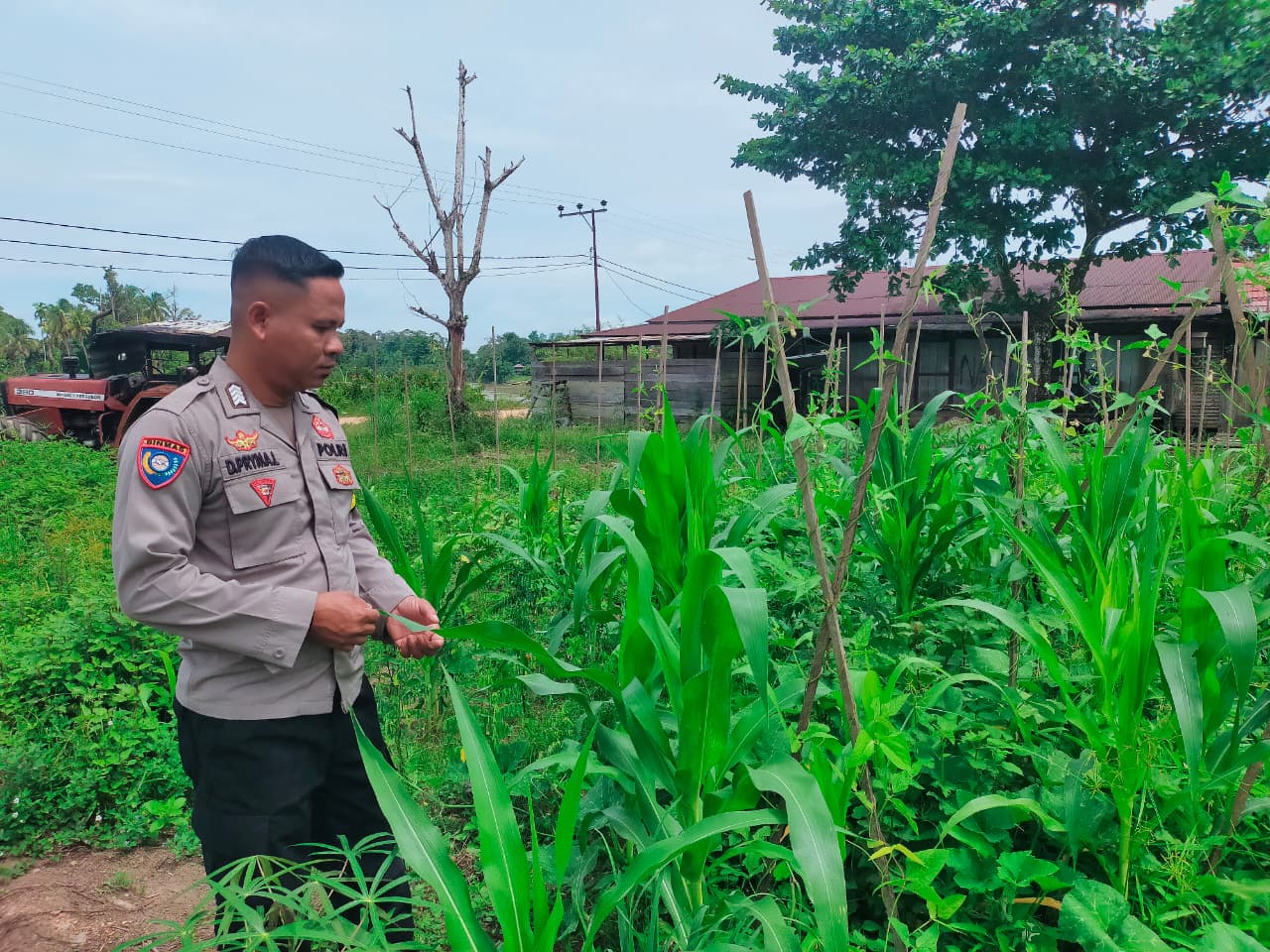 Mendukung Ketahanan Pangan, Personil Polsek sanaman mantikei Cek Lokasi Pemanfaatan Pekarangan Warga.
