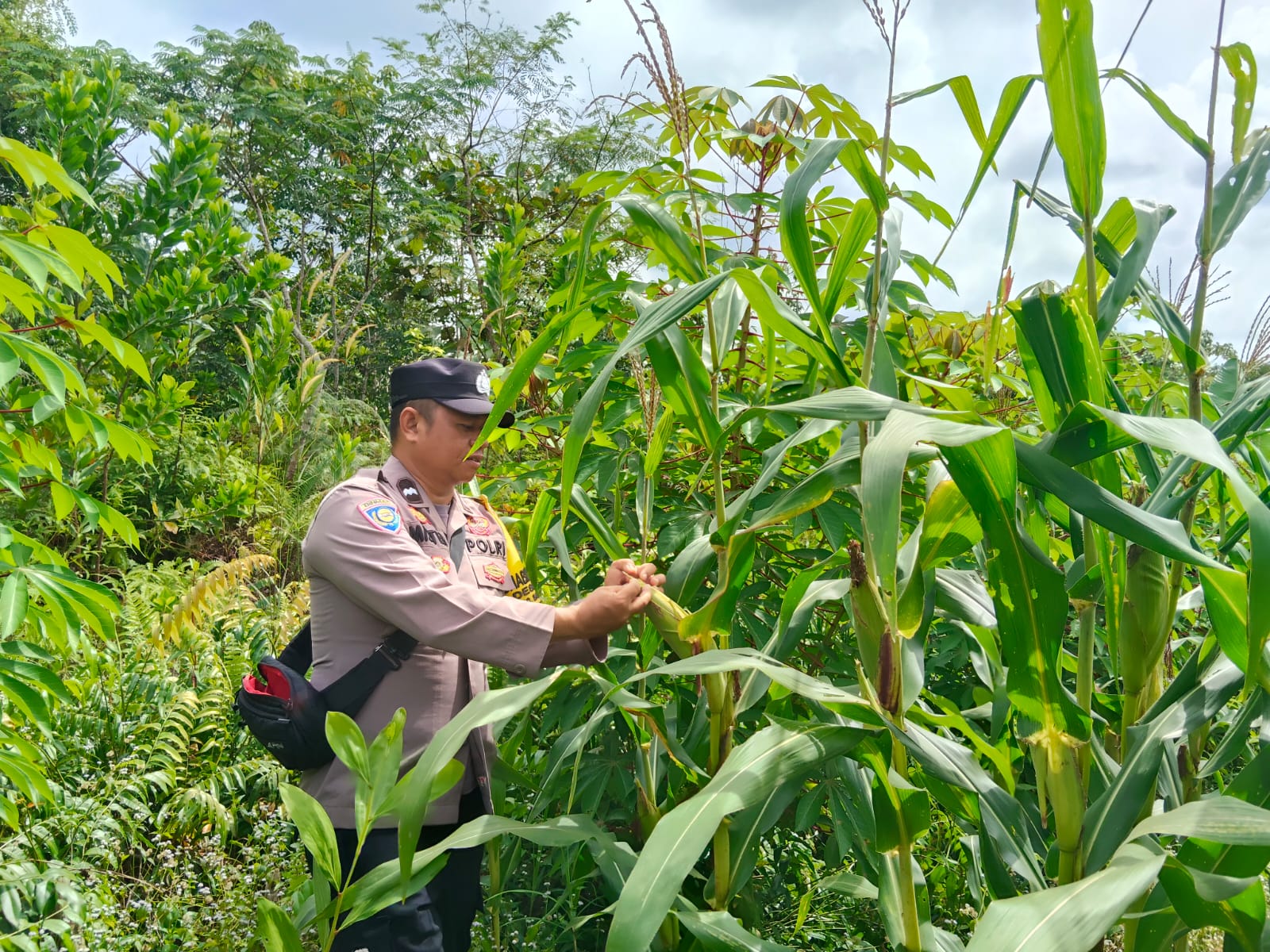 Mendukung Ketahanan Pangan, Personil Polsek sanaman mantikei Cek Lokasi Pemanfaatan Pekarangan Warga.