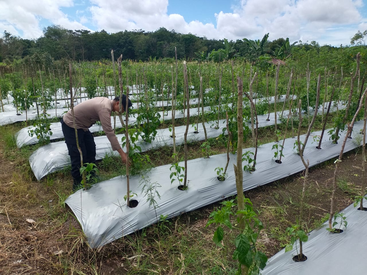 Debit Air terpantau normal , Polsek Katingan Hulu dan Bukit Raya Imbau Warga agar tetap selalu waspada.