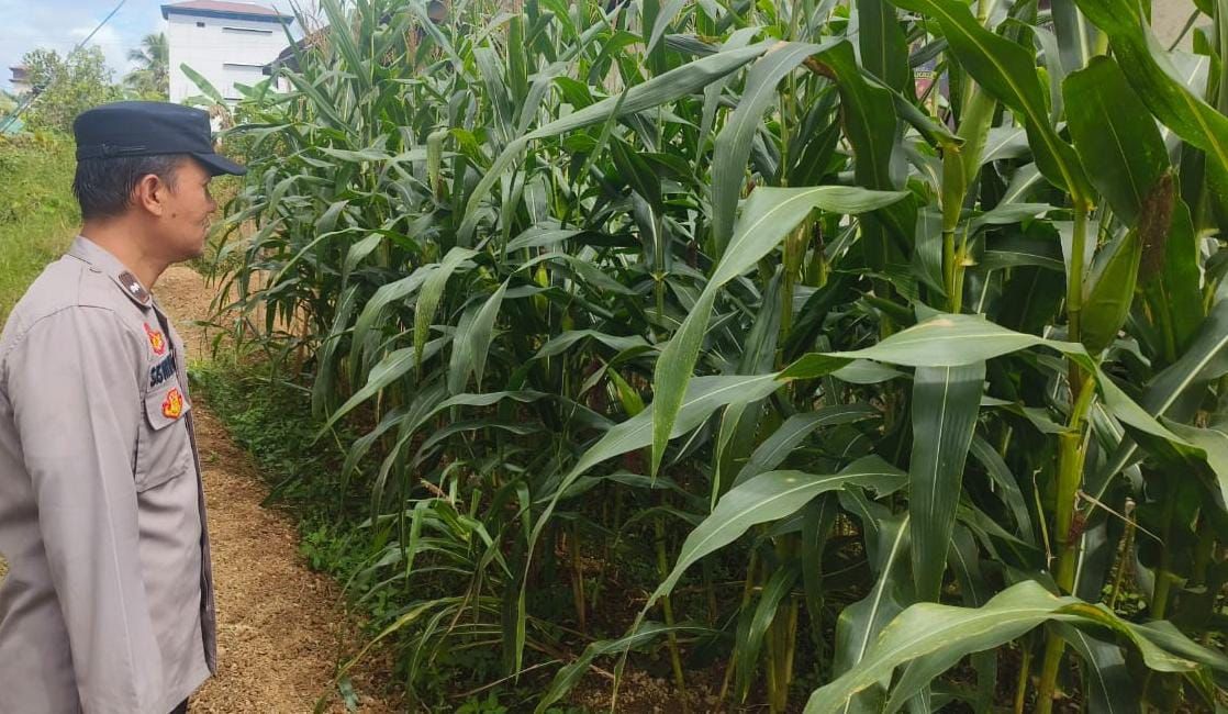 Polsek Tasik Payawan dan Kamipang Melaksanakan Pengecekan Pemanfaatan Lahan Pekarangan Warga Desa Petak Bahandang