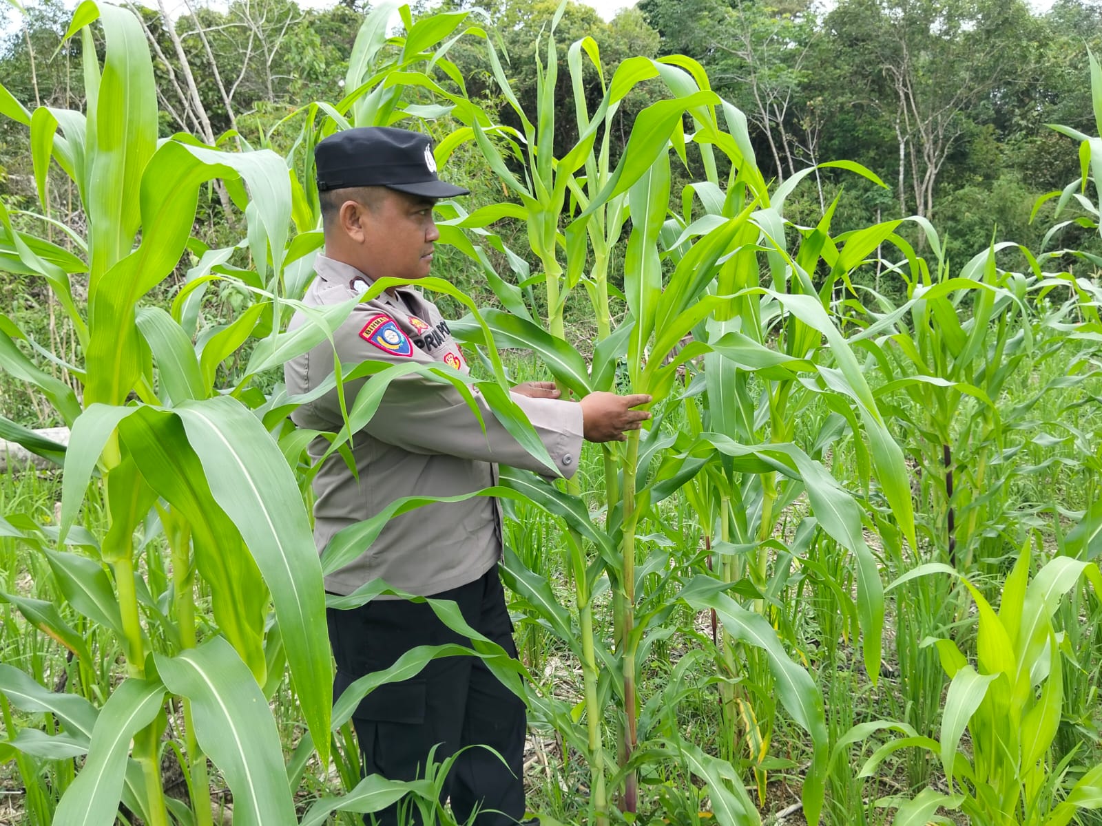 Dukung Asta Cita Ketahanan Pangan Nasional Polsek Marikit Cek Lokasi Pemanfaatan Pekarangan Warga di Kec. Marikit, Kab. Katingan