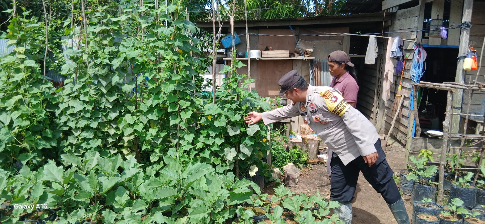 Dukung Ketahanan Pangan, Bhabinkamtibmas Polsek Bulik Silaturahmi ke masyarakat terkait Program Asta Cita Presiden RI