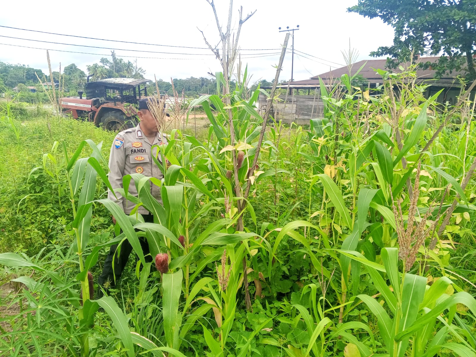 Personil Polsek Sanaman Mantikei Cek Lokasi Pemanfaatan Pekarangan Warga.
