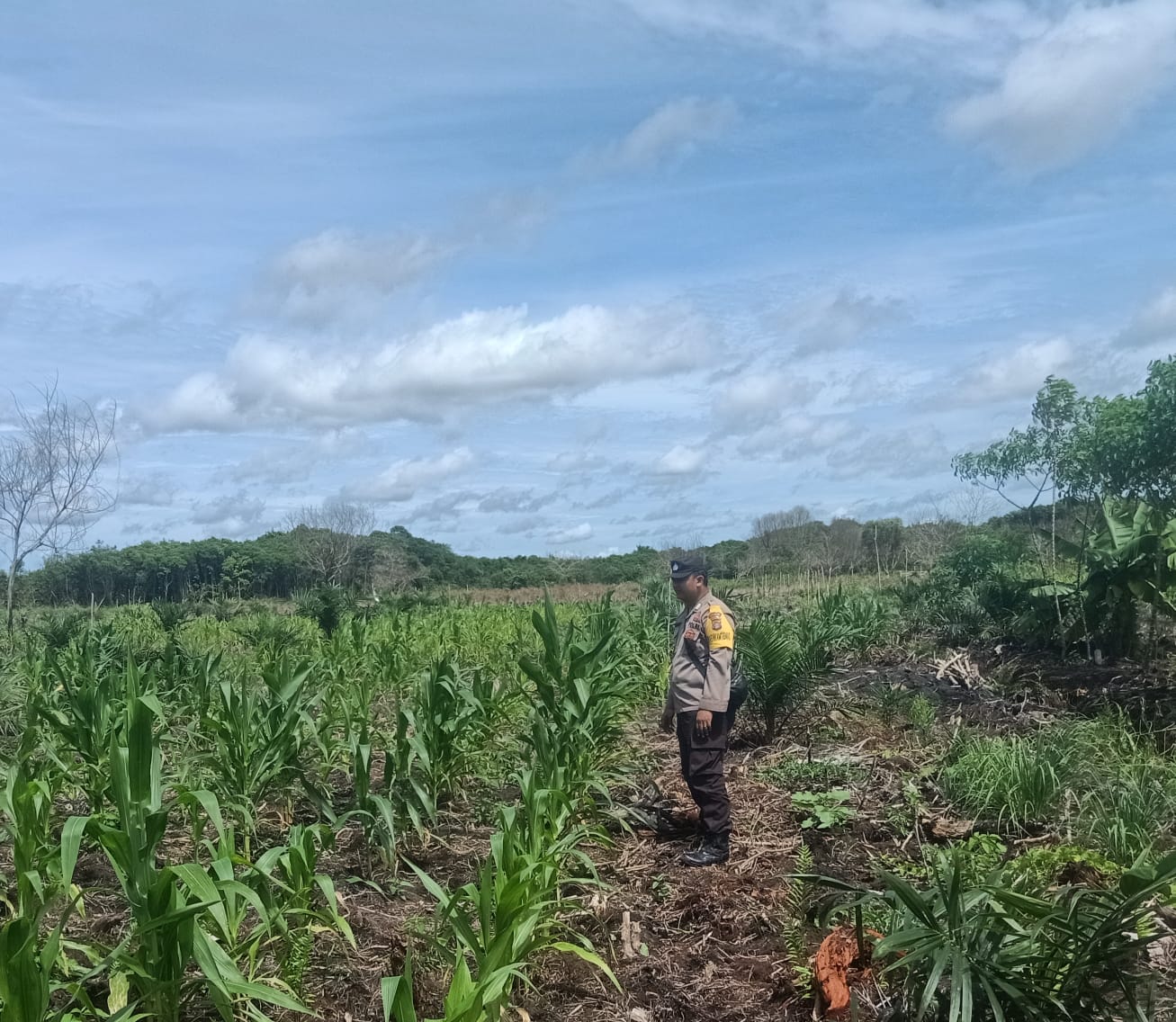 Dalam Rangka Mendukung Program Pemerintah, Bhabinkamtibmas Desa Perigi Polsek Mendawai Cek Lokasi Pemanfaatan Lahan Pekarangan Warga