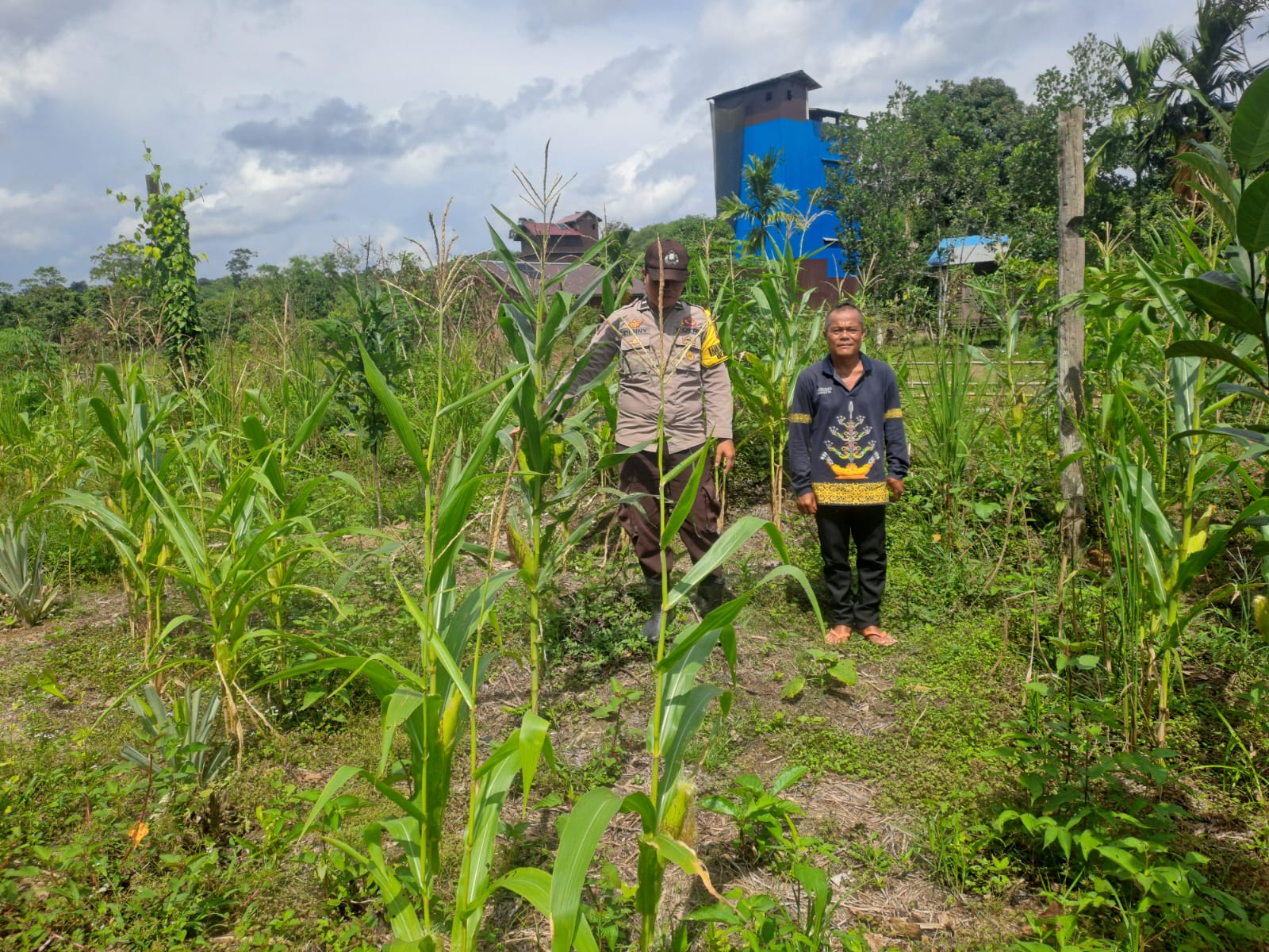 Mendukung Ketahanan Pangan, Personil Polsek Katingan Hulu dan Bukit Raya Cek Lokasi Pemanfaatan Pekarangan Warga.