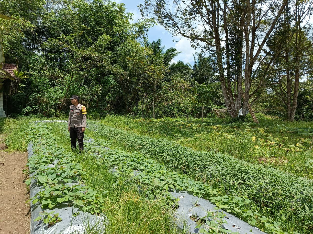Dukung Ketahanan Pangan, Bhabinkamtibmas Polsek Delang Silaturahmi ke masyarakat terkait Program Asta Cita Presiden RI
