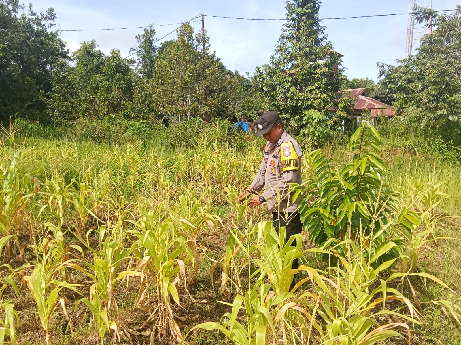 Dukung Ketahanan Pangan, Polsek Tewang Sangalang Garing dan Pulau Malan Imbau Warga Terus Manfaatkan Lahan Pertanian