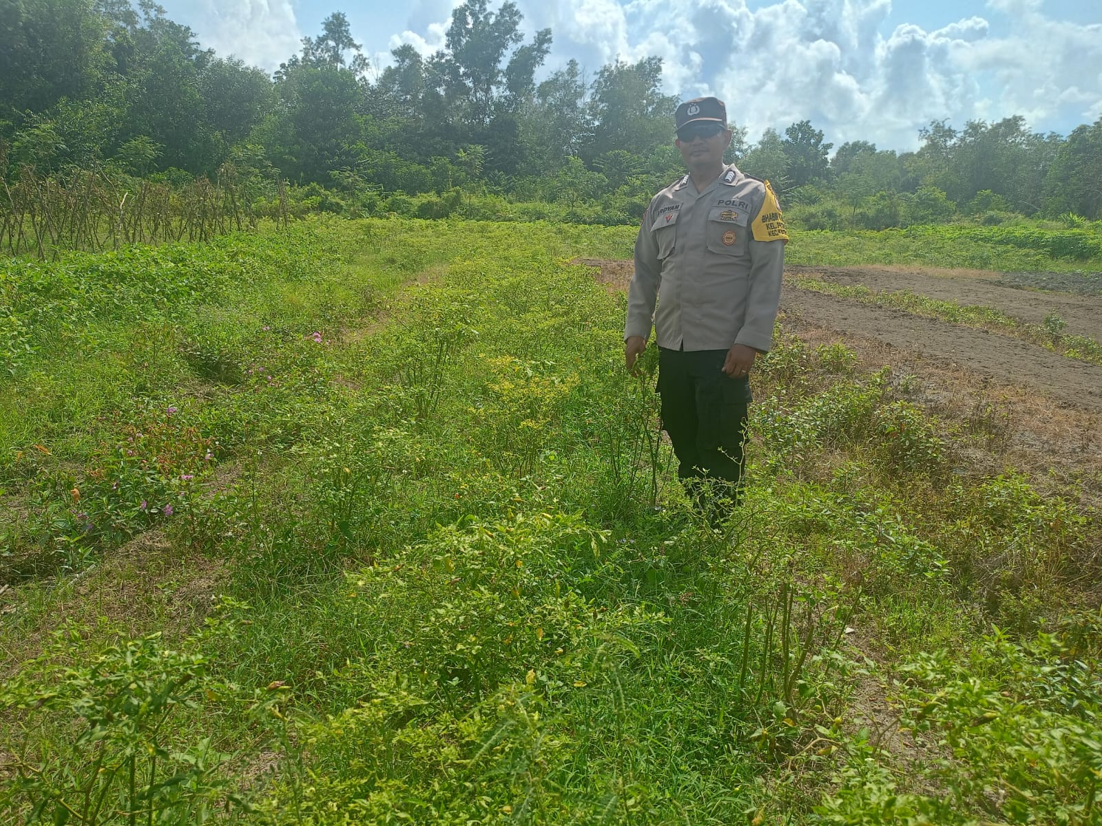 Mendukung ketahanan pangan, Personil Polsek Katingan Kuala cek lokasi pemanfaatan lahan warga berkebun holtikultura