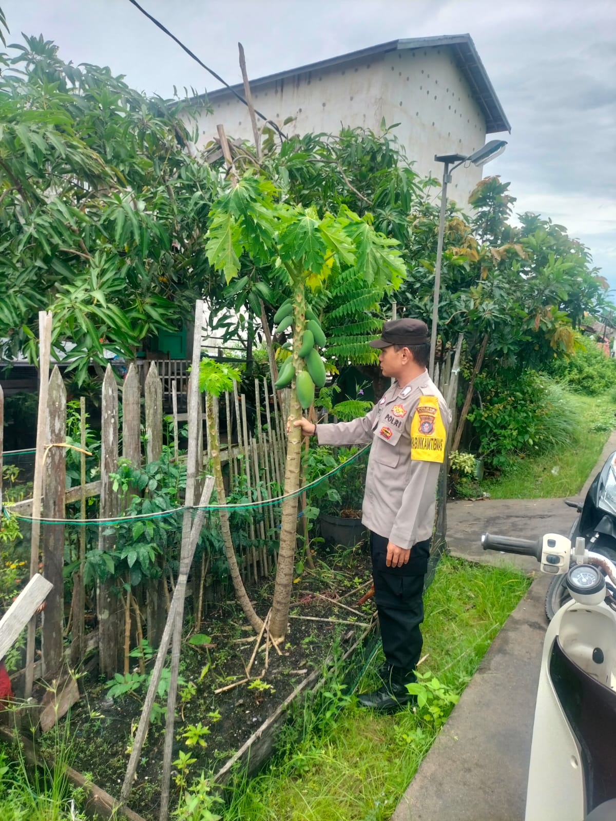 Bhabinkamtibmas Desa Kampung Tengah Cek Lokasi Pemanfaatan Lahan Pekarangan Warga