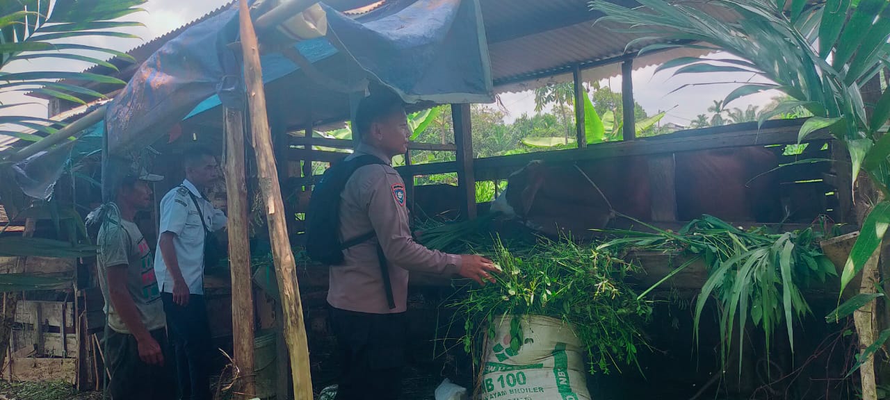 Dukung Ketahanan Pangan, Bhabinkamtibmas Sambangi Peternak Kambing