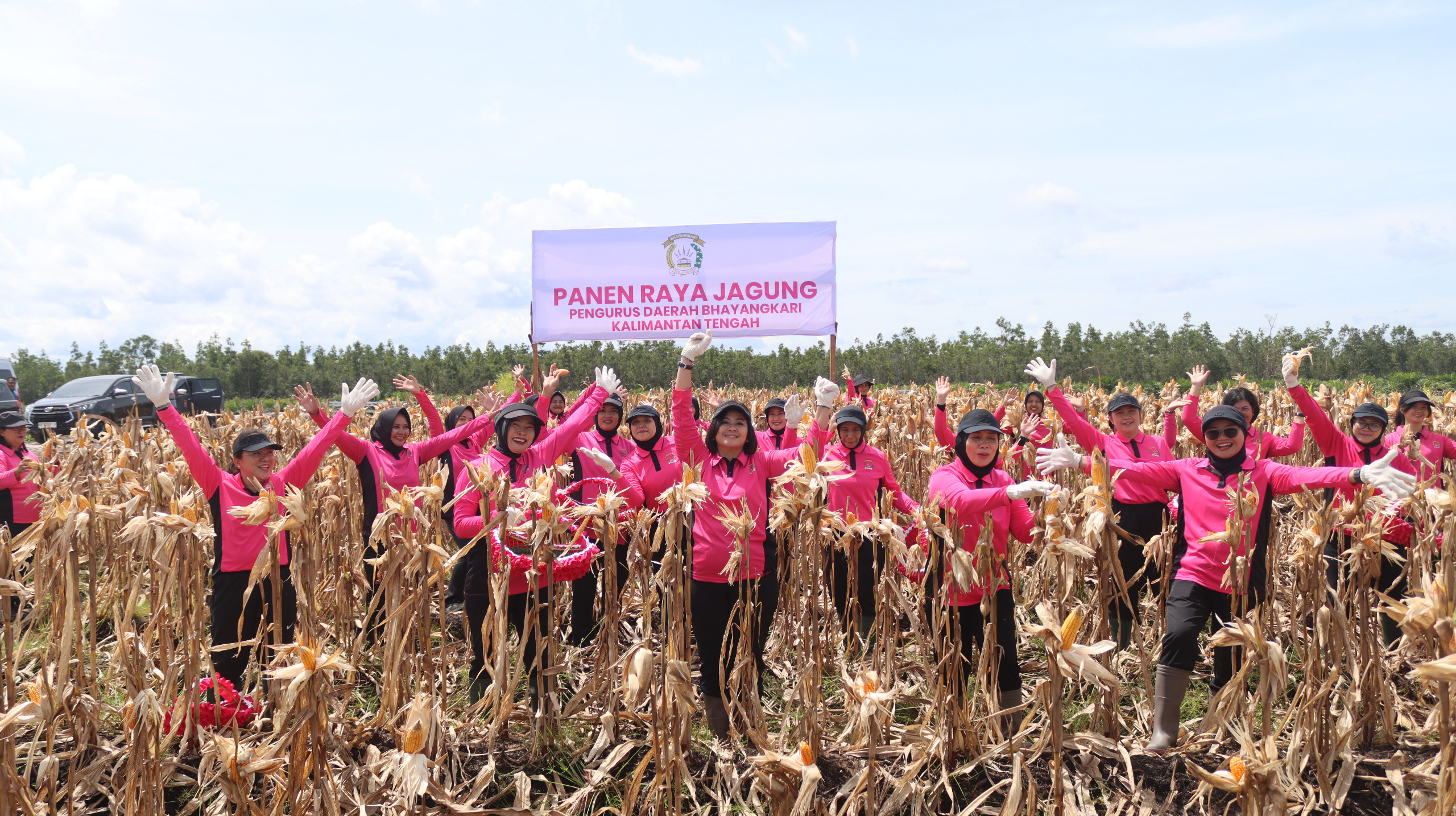 Dukungan Ketahanan Pangan, Polda Kalteng dan Bhayangkari Panen Raya Jagung di Rakumpit