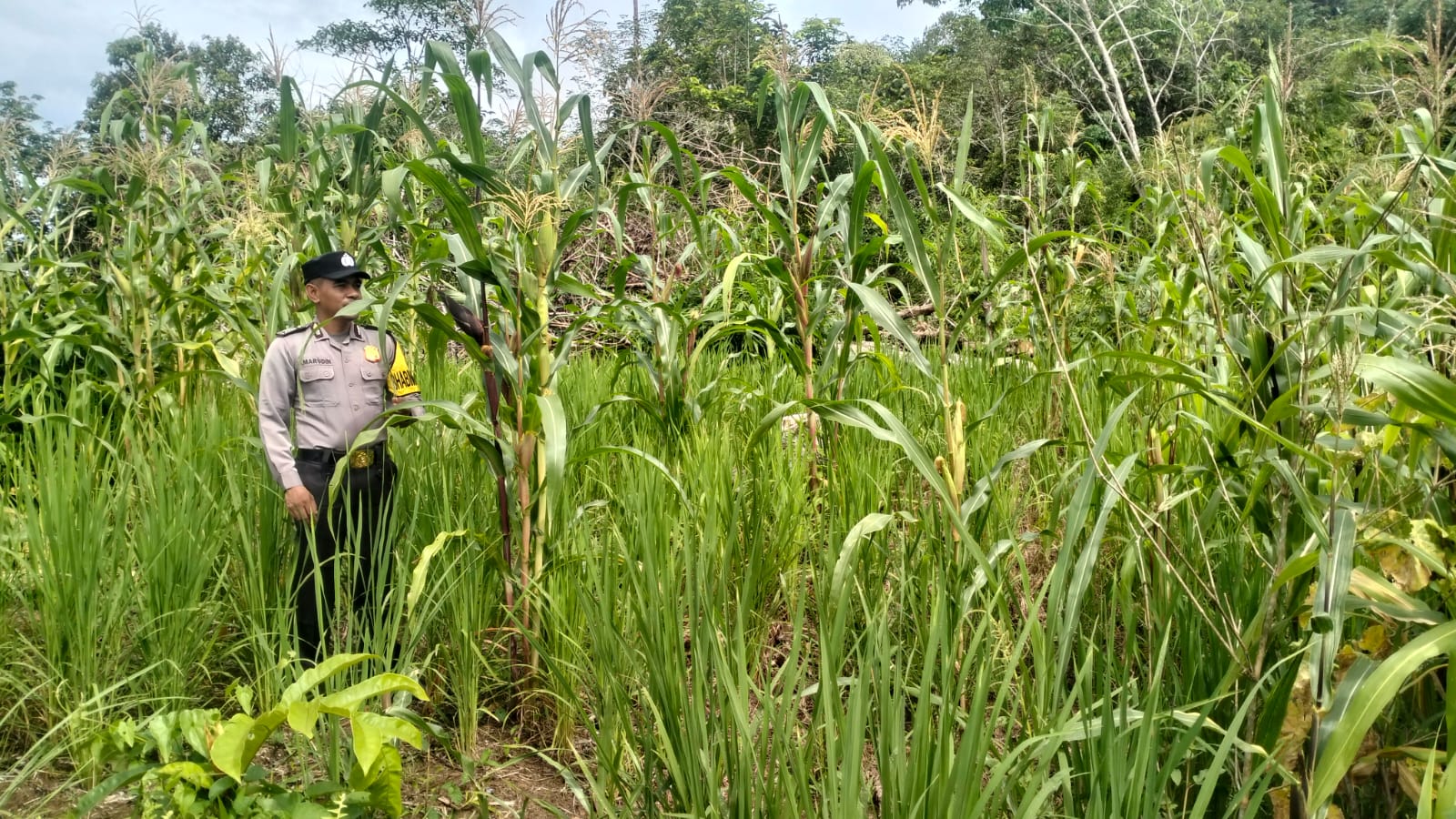 Personil Cek Lokasi Pemanfaatan Pekarangan Warga di Kec. Marikit, Kab. Katingan.