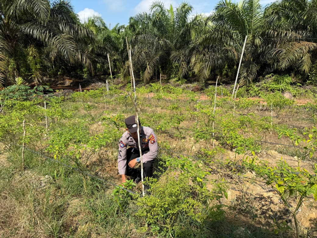 Dukung Ketahanan Pangan, Bhabinkamtibmas Polsek Bulik Silaturahmi ke masyarakat terkait Program Asta Cita Presiden RI