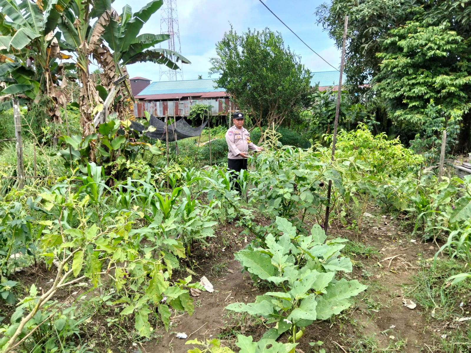 Dukung Asta Cita Polsek Marikit Cek Lokasi Pemanfaatan Pekarangan Warga di Kec. Marikit, Kab. Katingan