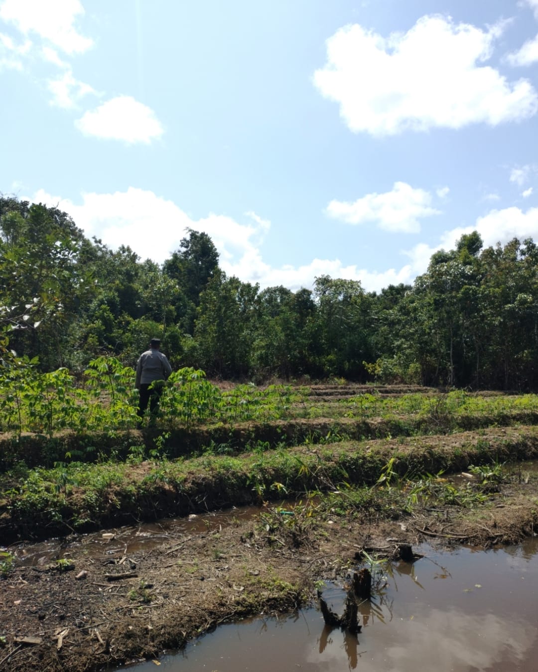 Dalam Rangka Mendukung Program Pemerintah, Bhabinkamtibmas Desa Mekartani Polsek Mendawai Cek Lokasi Pemanfaatan Lahan Desa Mekartani.