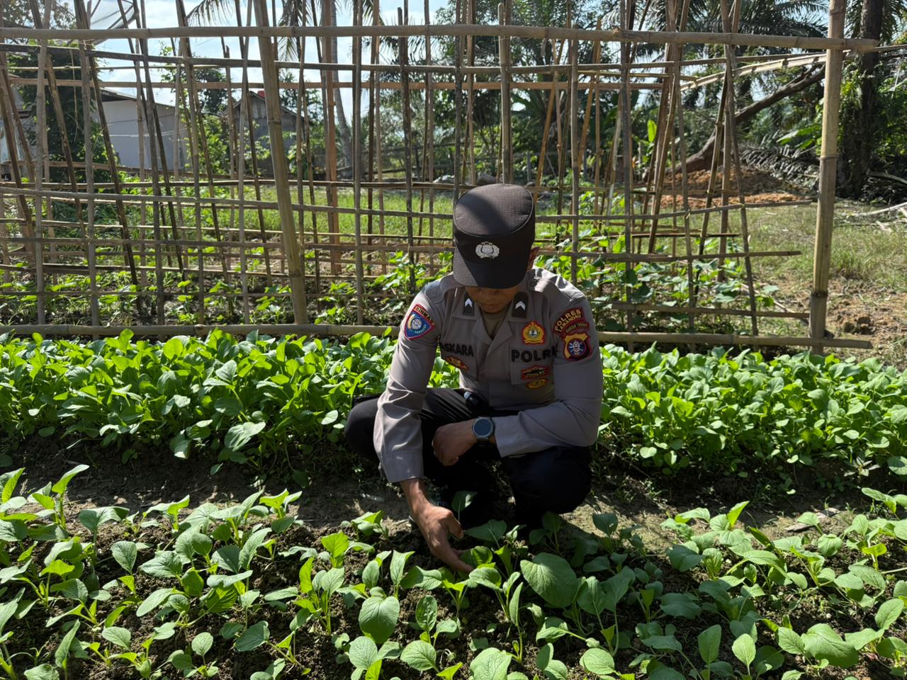 Dukung Ketahanan Pangan, Bhabinkamtibmas Polsek Bulik Silaturahmi ke masyarakat terkait Program Asta Cita Presiden RI