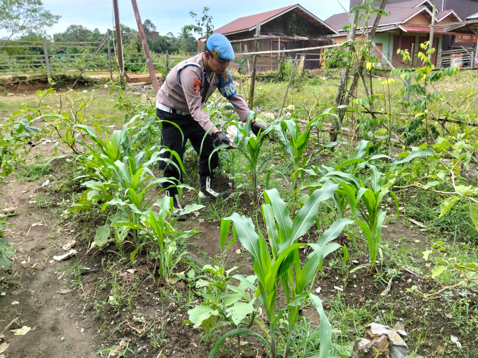 Dukung Asta Cita Personil Piket Polsek Marikit Cek Lokasi Pemanfaatan Lahan dan Pekarangan Warga di Kec. Marikit, Kab. Katingan