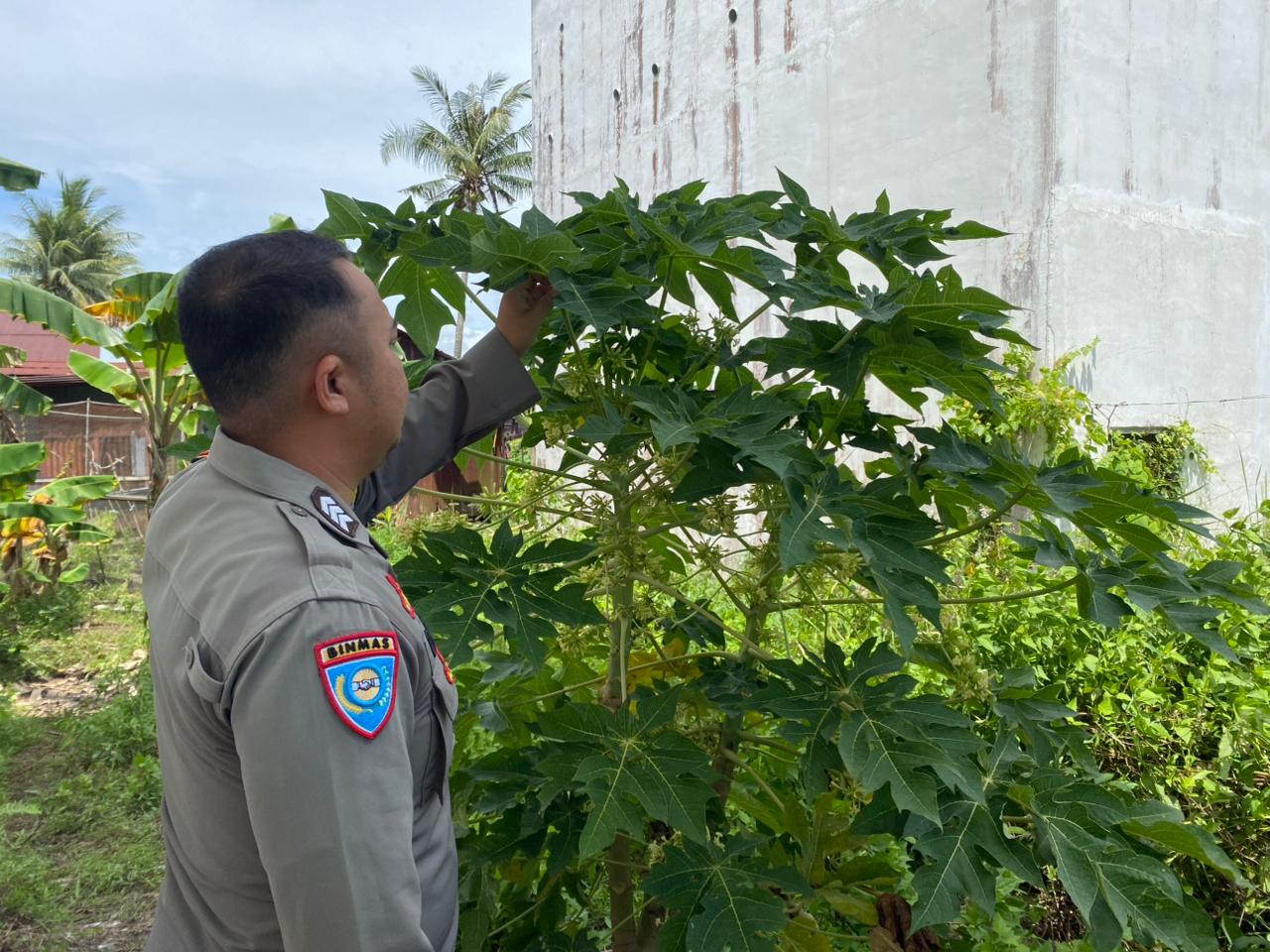 Bhabinkamtibmas Desa Jaya Makmur Cek Lokasi Pemanfaatan Lahan Pekarangan Warga