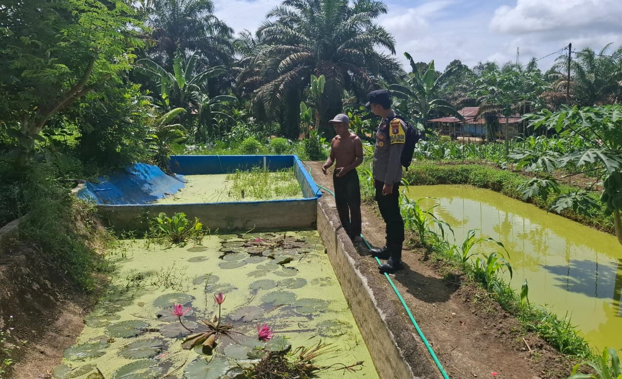 Dukung Ketahanan Pangan, Bhabinkamtibmas Cek Budidaya Ikan Nila Merah