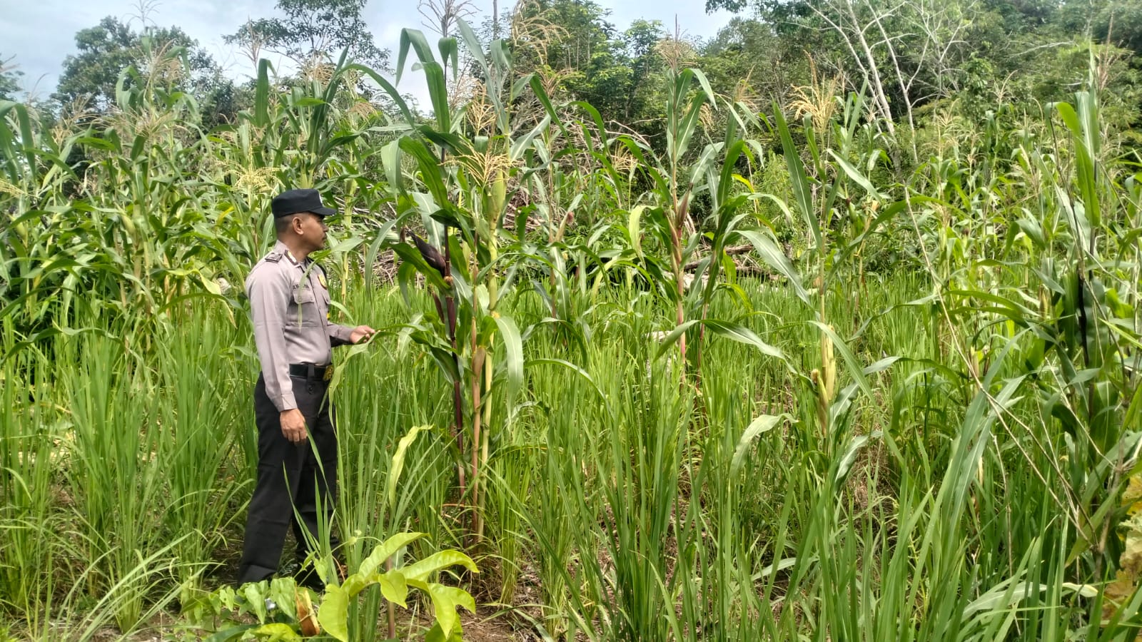 Personil Cek Lokasi Pemanfaatan Pekarangan Warga di Kec. Marikit, Kab. Katingan.