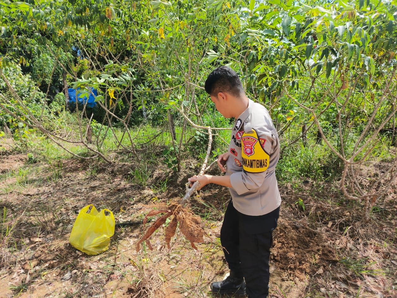 Dukung Ketahanan Pangan, Bhabinkamtibmas Polsek Delang Silaturahmi ke masyarakat terkait Program Asta Cita Presiden RI