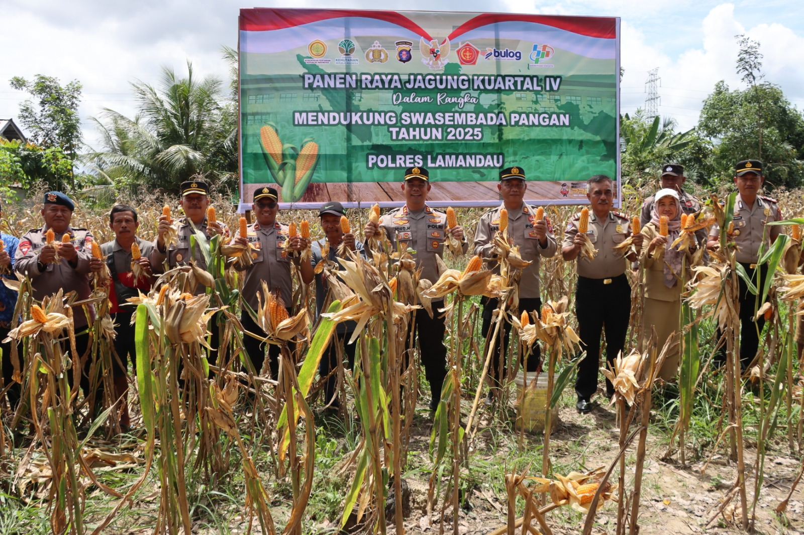 Kapolres Lamandau Pimpin Panen Raya Jagung Serentak Kuartal IV Dukung Swasembada Pangan 2025