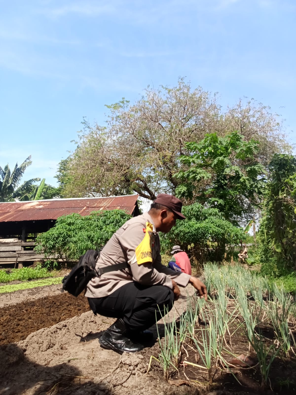Mendukung ketahanan pangan, Personil Polsek Katingan Kuala cek lokasi pemanfaatan lahan warga berkebun holtikultura