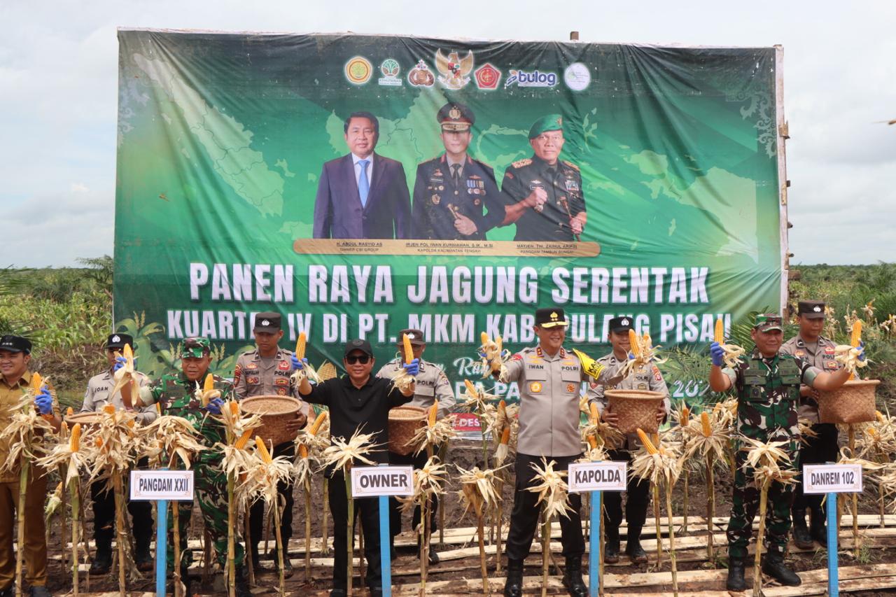 Dukung Swasembada Pangan, Kapolda Kalteng dan Pangdam XXII Tambun Bungai Panen Jagung Bersama CBI Group