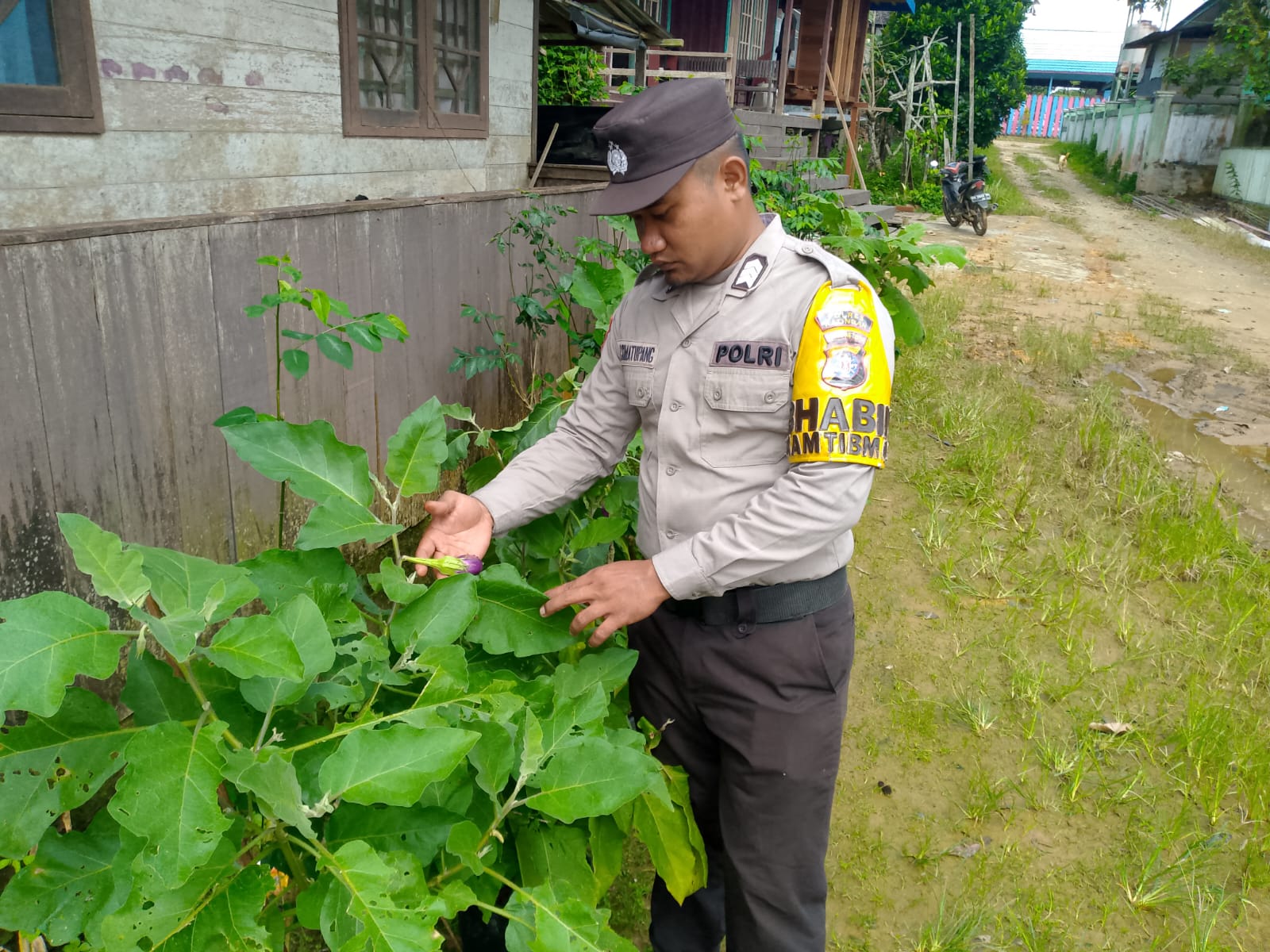 Polsek Marikit melaksanakan kegiatan pengecekan pemanfaatan lahan dalam program Ketahanan Pangan bentuk Dukungan terhadap Kebijakan Presiden RI tentang Asta Cita Ketahanan Pangan