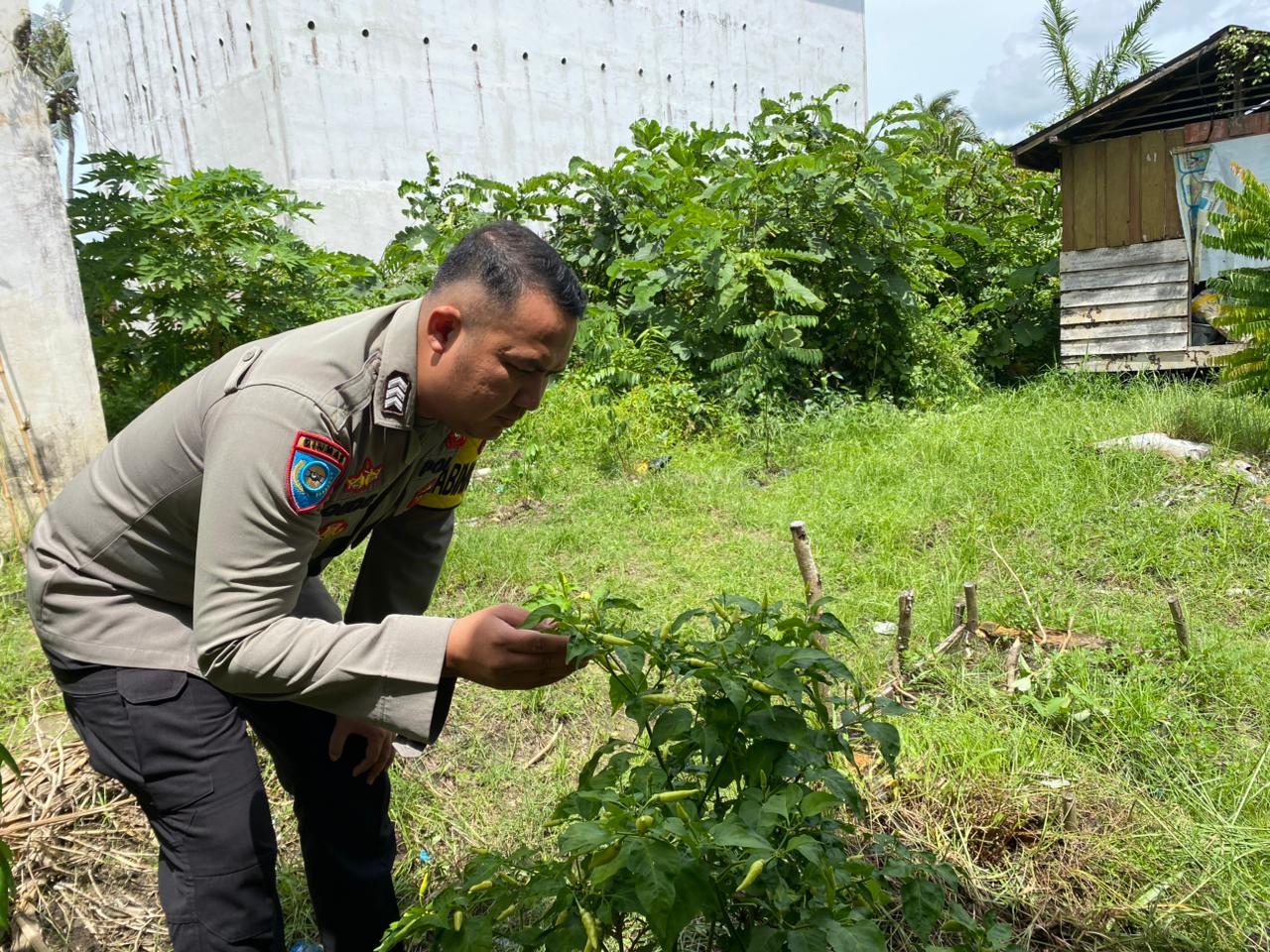 Bhabinkamtibmas Desa Jaya Makmur Cek Lokasi Pemanfaatan Lahan Pekarangan Warga
