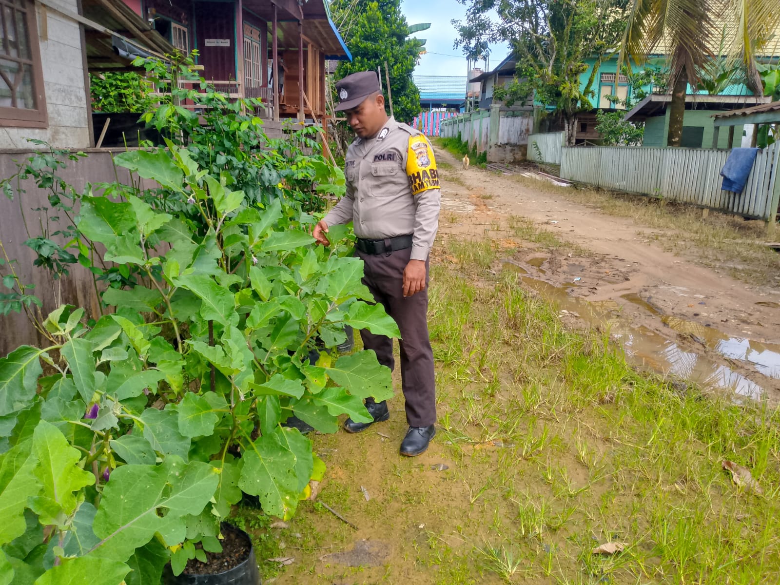 Dalam Rangka Mendukung Program Pemerintah, Bhabinkamtibmas Desa Perigi Polsek Mendawai Cek Lokasi Pemanfaatan Lahan Pekarangan Warga