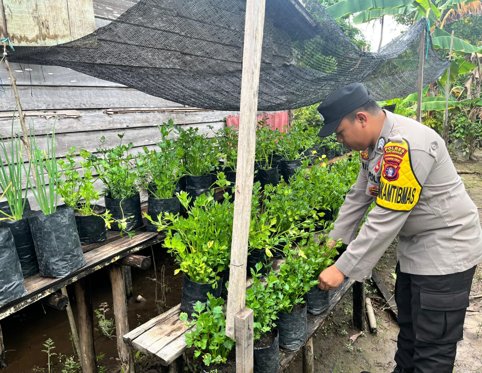 Dalam Rangka Mendukung Program Pemerintah, Bhabinkamtibmas Polsek Mendawai Cek Lokasi Pemanfaatan Lahan Pekarangan Warga