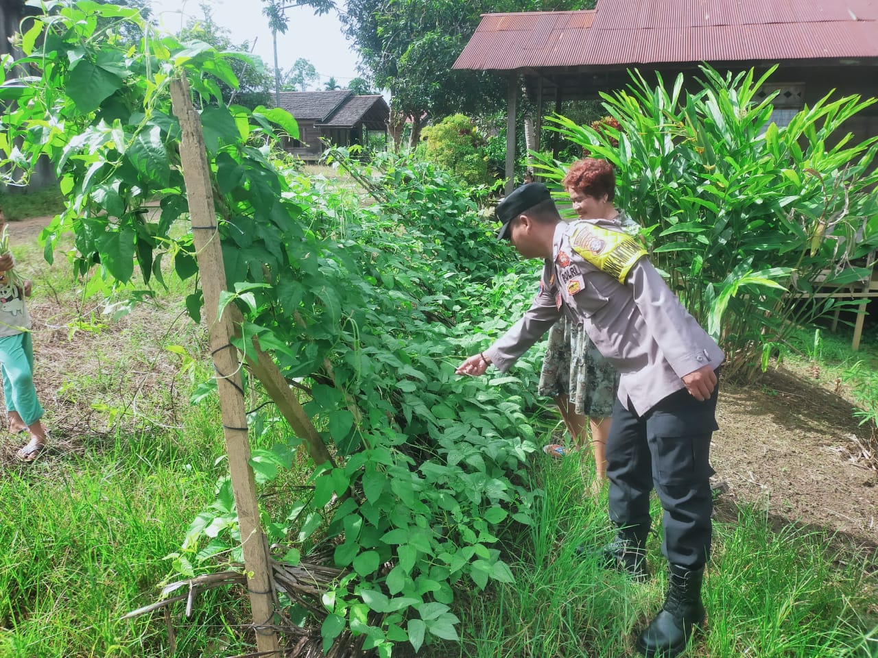 Mendukung Ketahanan Pangan, Personil Polsek sanaman mantikei Cek Lokasi Pemanfaatan Pekarangan Warga.
