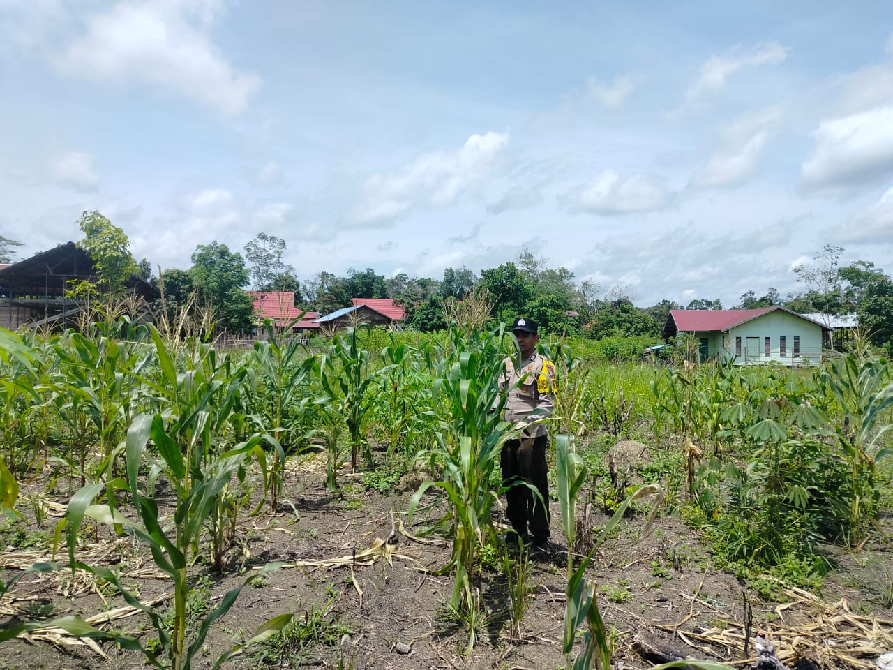 Personil Cek Lokasi Pemanfaatan Pekarangan Warga di Kec. Marikit, Kab. Katingan.