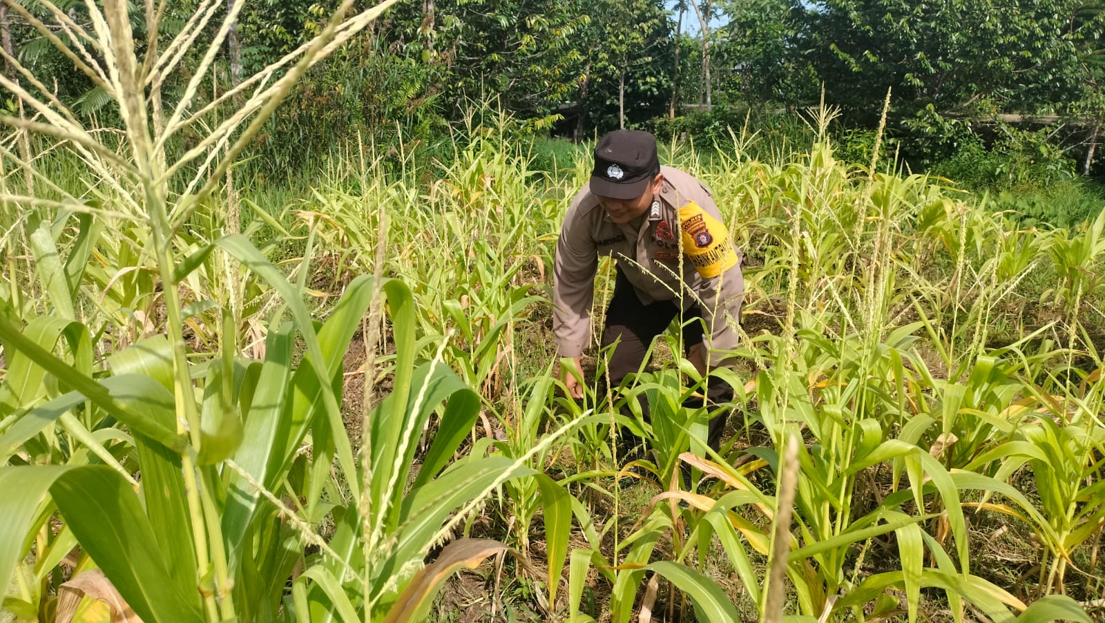Dalam Rangka Mendukung Program Pemerintah, Bhabinkamtibmas Desa Perigi Polsek Mendawai Cek Lokasi Pemanfaatan Lahan Pekarangan Warga